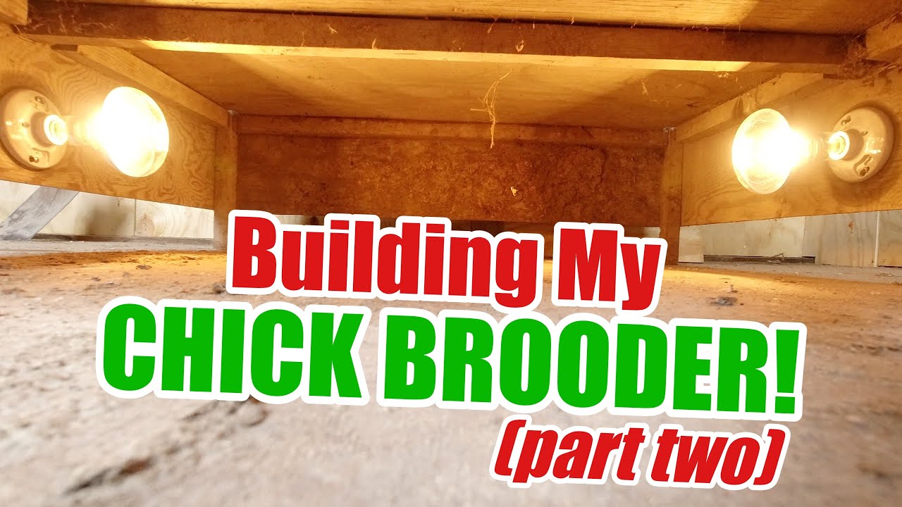 Building My Chick Brooder Pt  2