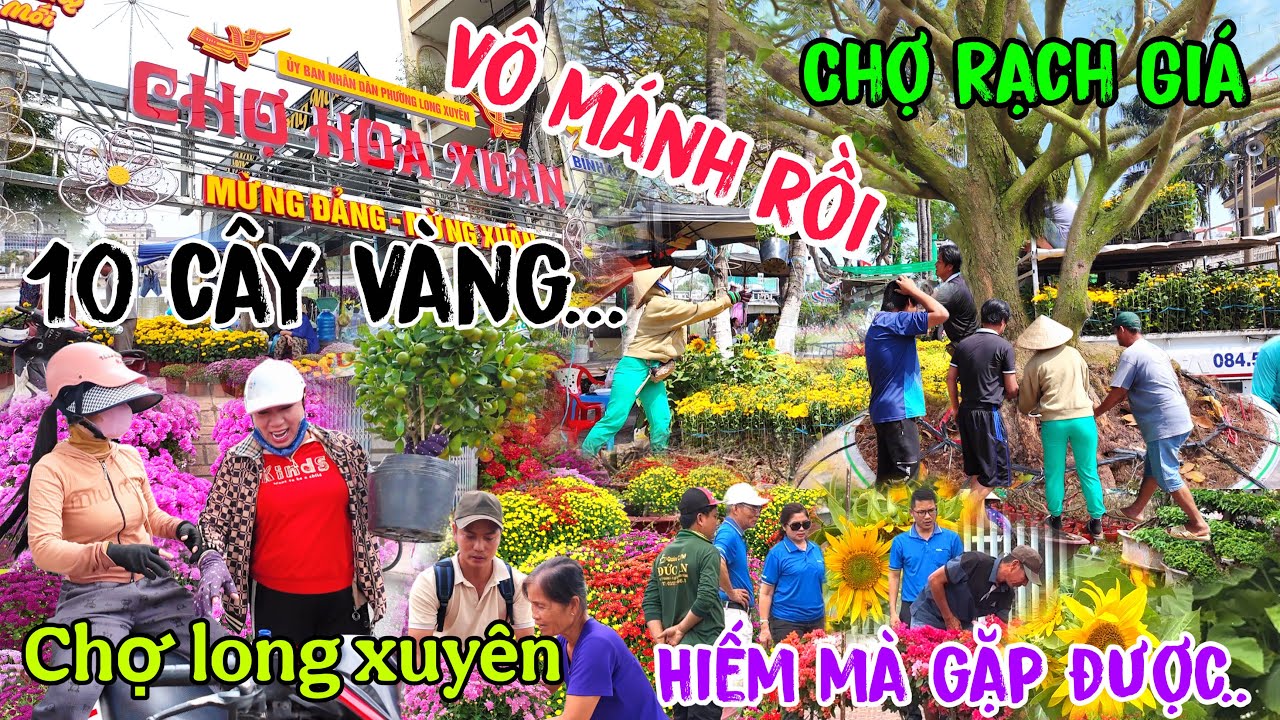 Chợ Tết Rạch Giá miền Tây: Có bằng chợ hoa xuân Long Xuyên không ta?