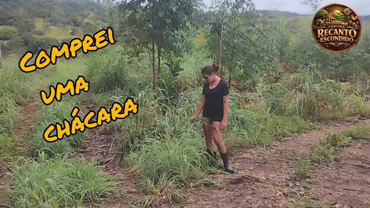 Comprei uma chácara, vou começar ela do zero esse é o primeiro episódio.