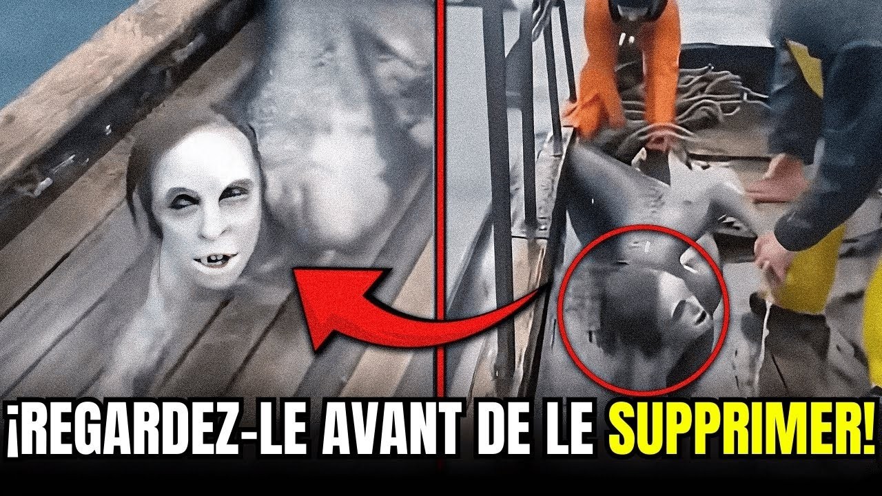 Des rencontres incroyables avec des sirènes dans les profondeurs de l'océan