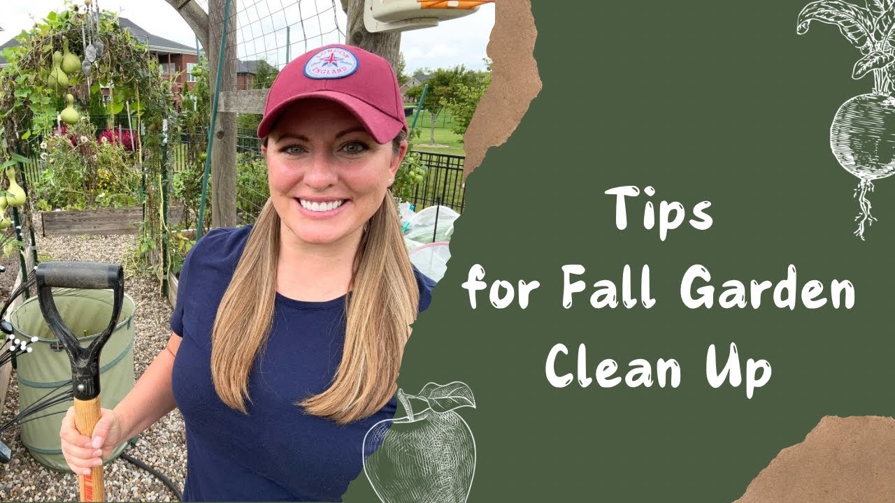 Fall Garden Clean Up | Should You Clean Up Your Garden in Fall?