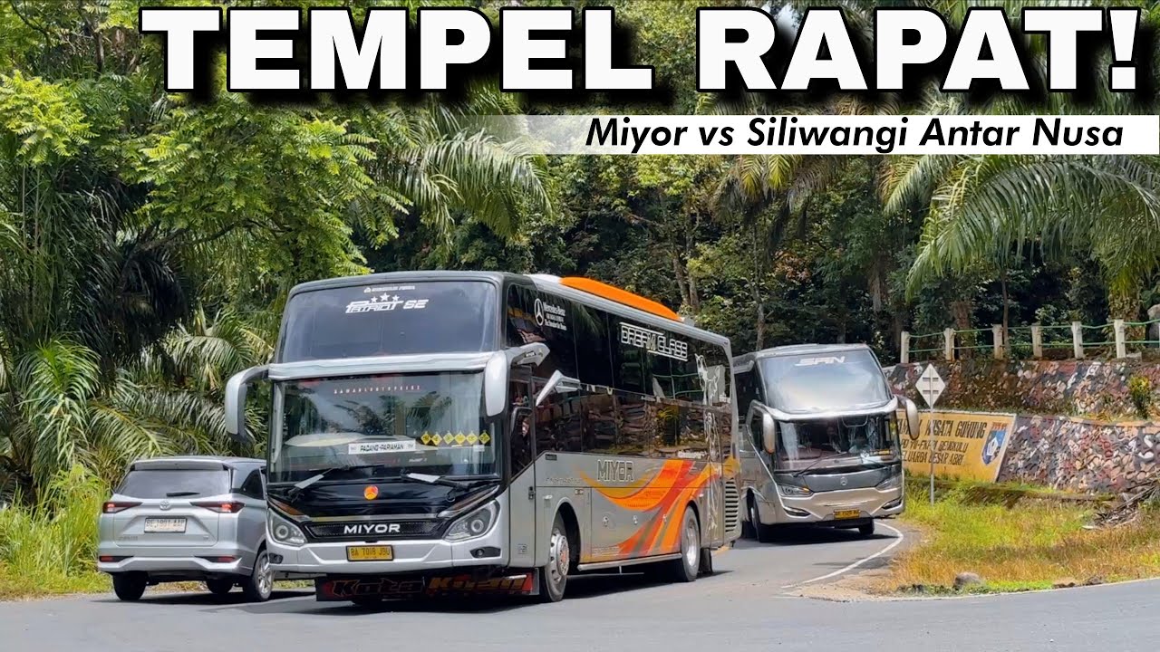 AKSI KEJAR-KEJARAN DI LIKU 9 ‼️SAN COBA TEMPEL MIYOR