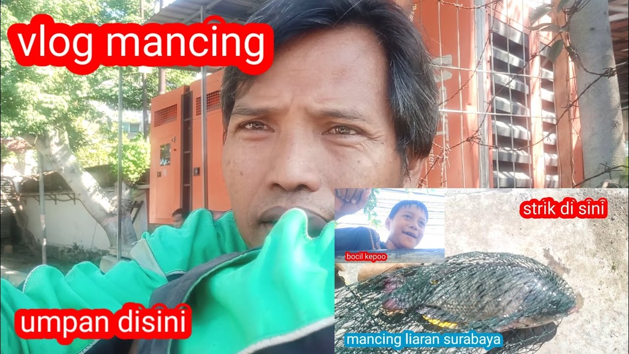 vlog mancing liaran//umpan sama strik satu spot//mancing liaran surabaya