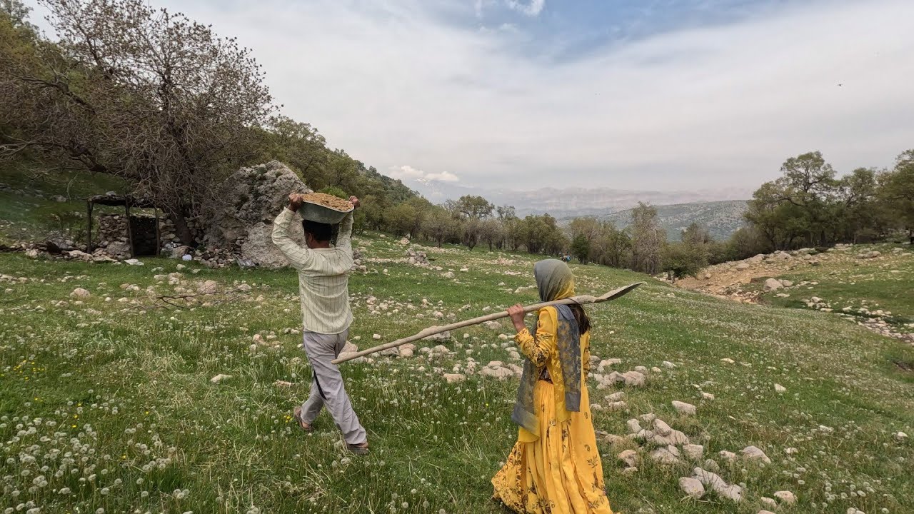 Iranian Nomads Repairing Hut _ Nomadic & Village Lifestyle Of Iran