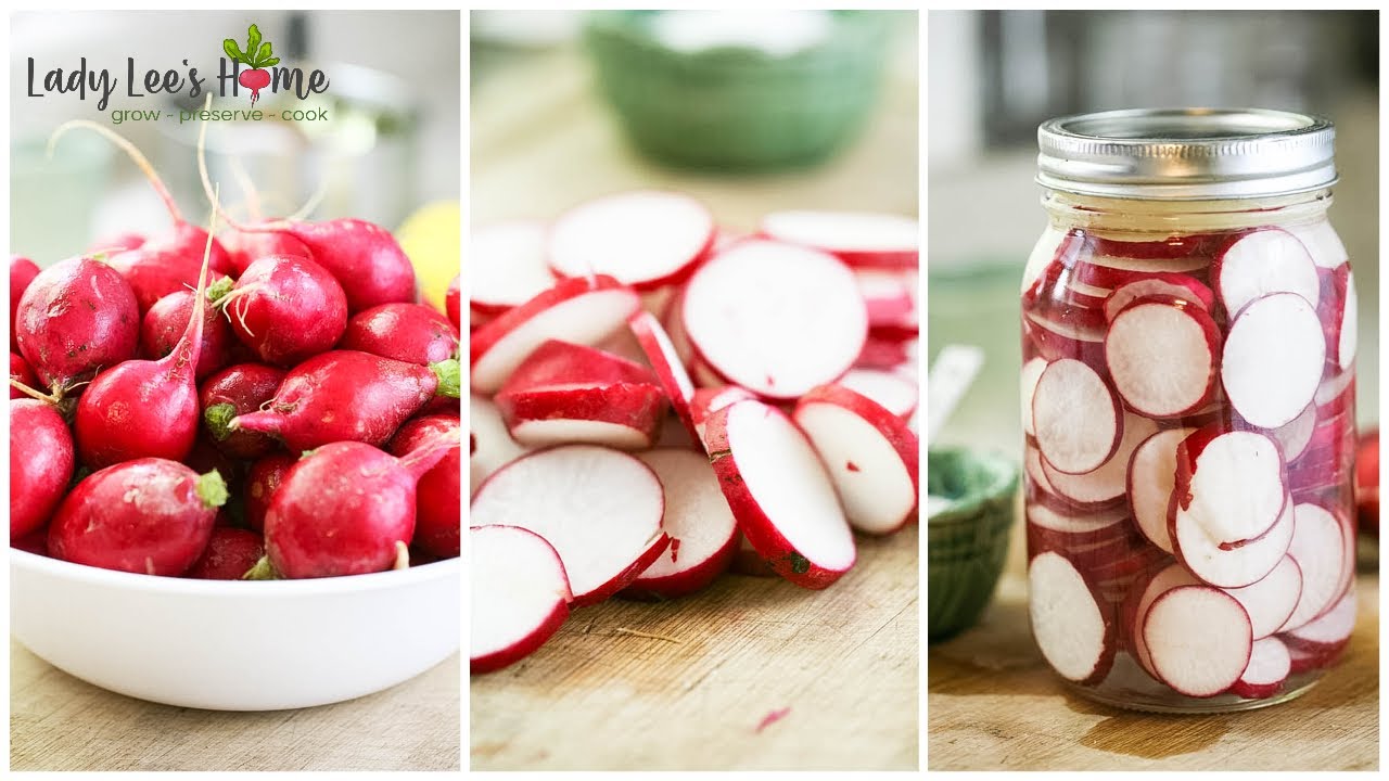 Lacto Fermented Radish Recipe