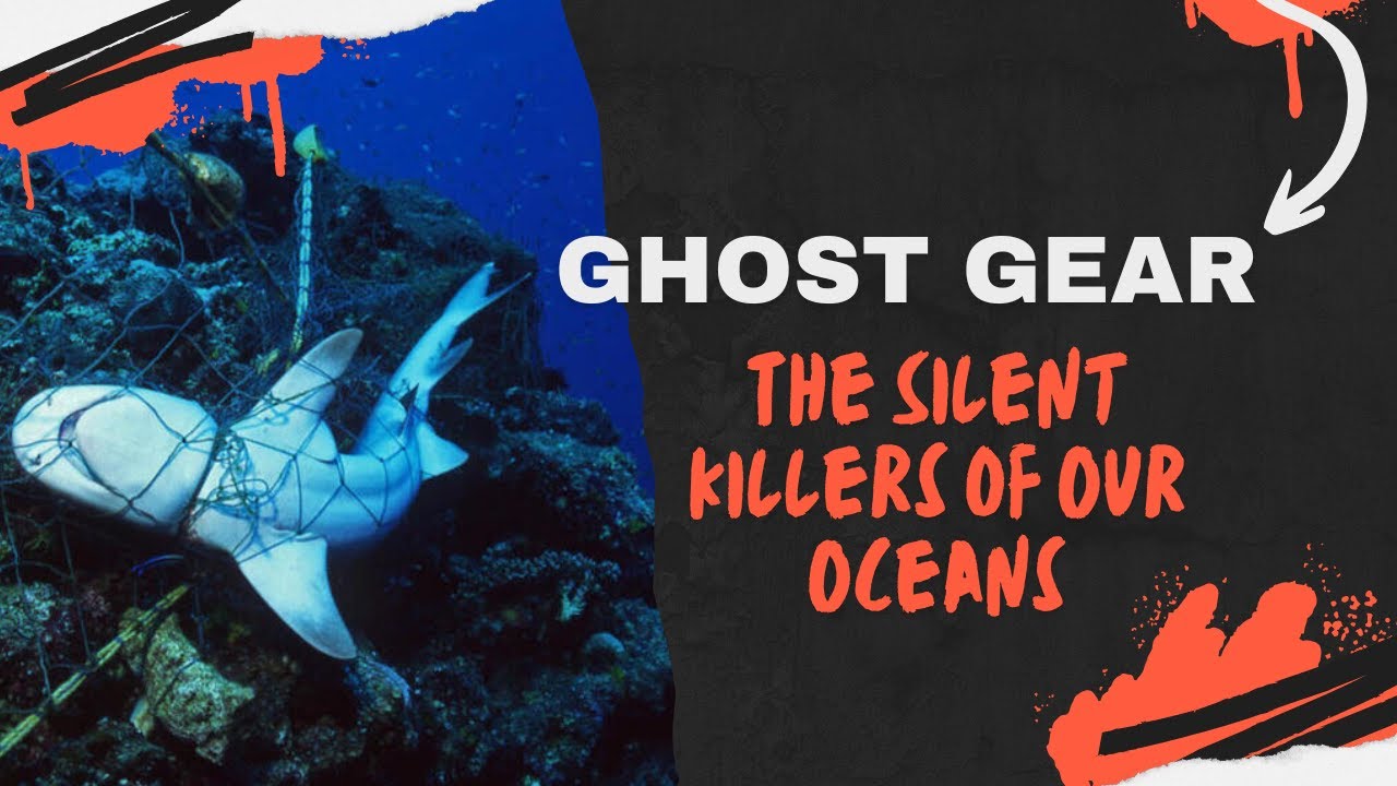 The Silent Killer of Our Oceans | Ghost Gear Keeps on Fishing