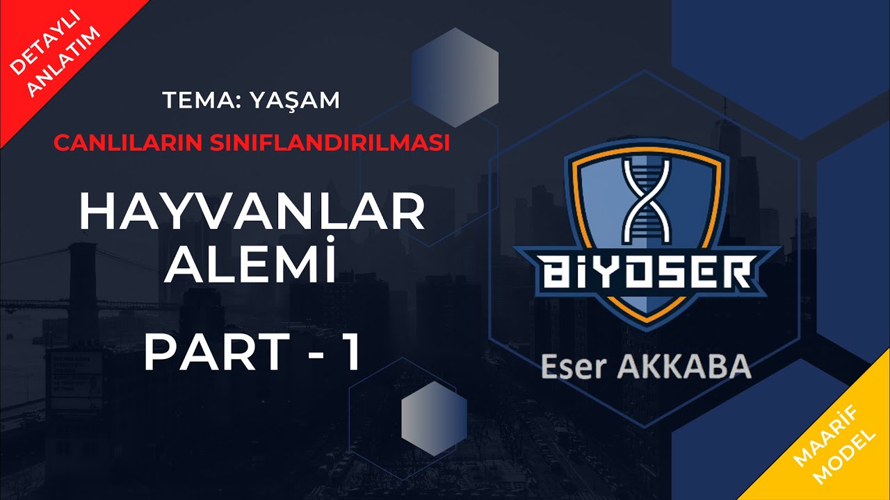 HAYVANLAR ALEMİNİN GENEL ÖZELLİKLERİ VE OMURGASIZ HAYVANLAR | CANLILARIN SINIFLANDIRILMASI