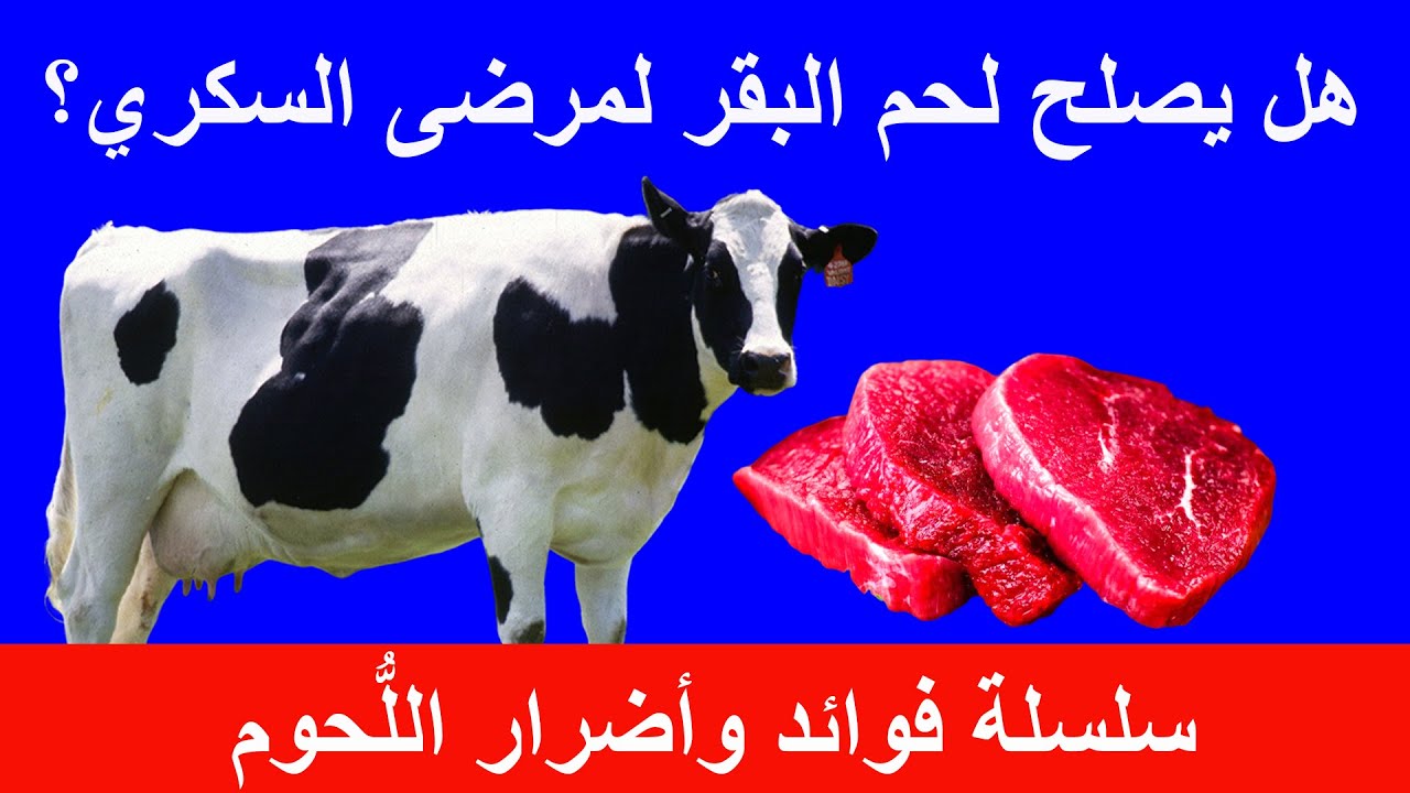 فوائد واضرار اللحوم لمريض السكري والسمنة | فوائد لحم البقر الصحية وأضرار لحوم الابقار 115