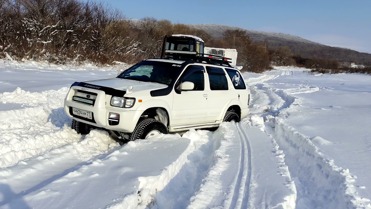 TERRANO REGULUS QD32eti