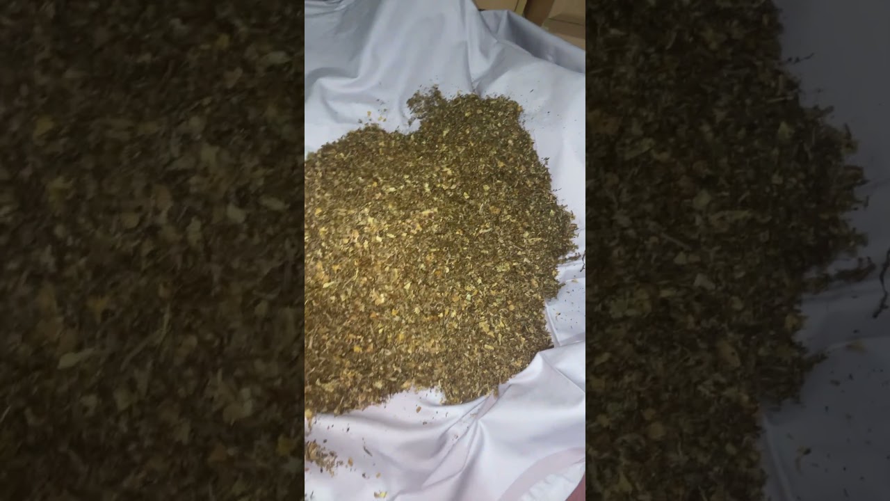 Kliktabak tabak sigaretten sigaret roken smoking smoke #youtubevideo #ytshorts #youtubeshorts #yt