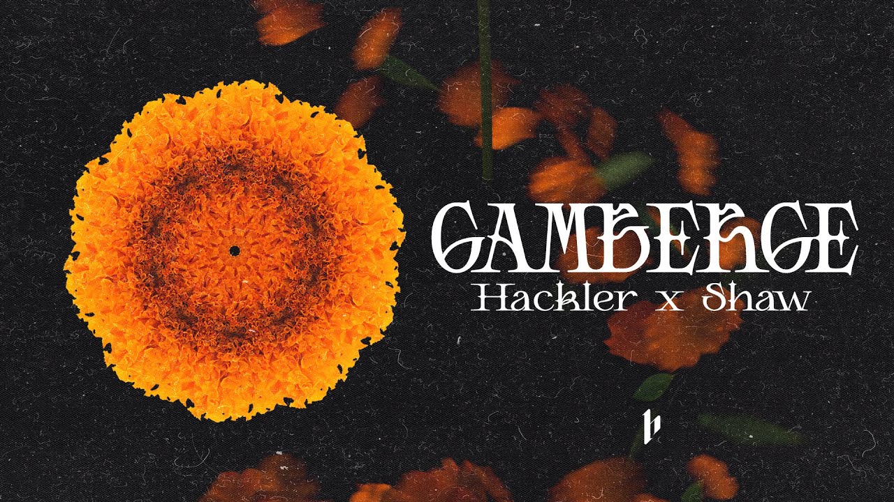 Hackler X Shaw - GAMBERGE (Official Visual Art Video) #MARIGOLD
