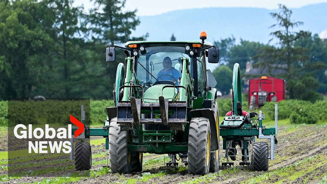 Food costs could start climbing as impact of war in Middle East begins to be felt elsewhere