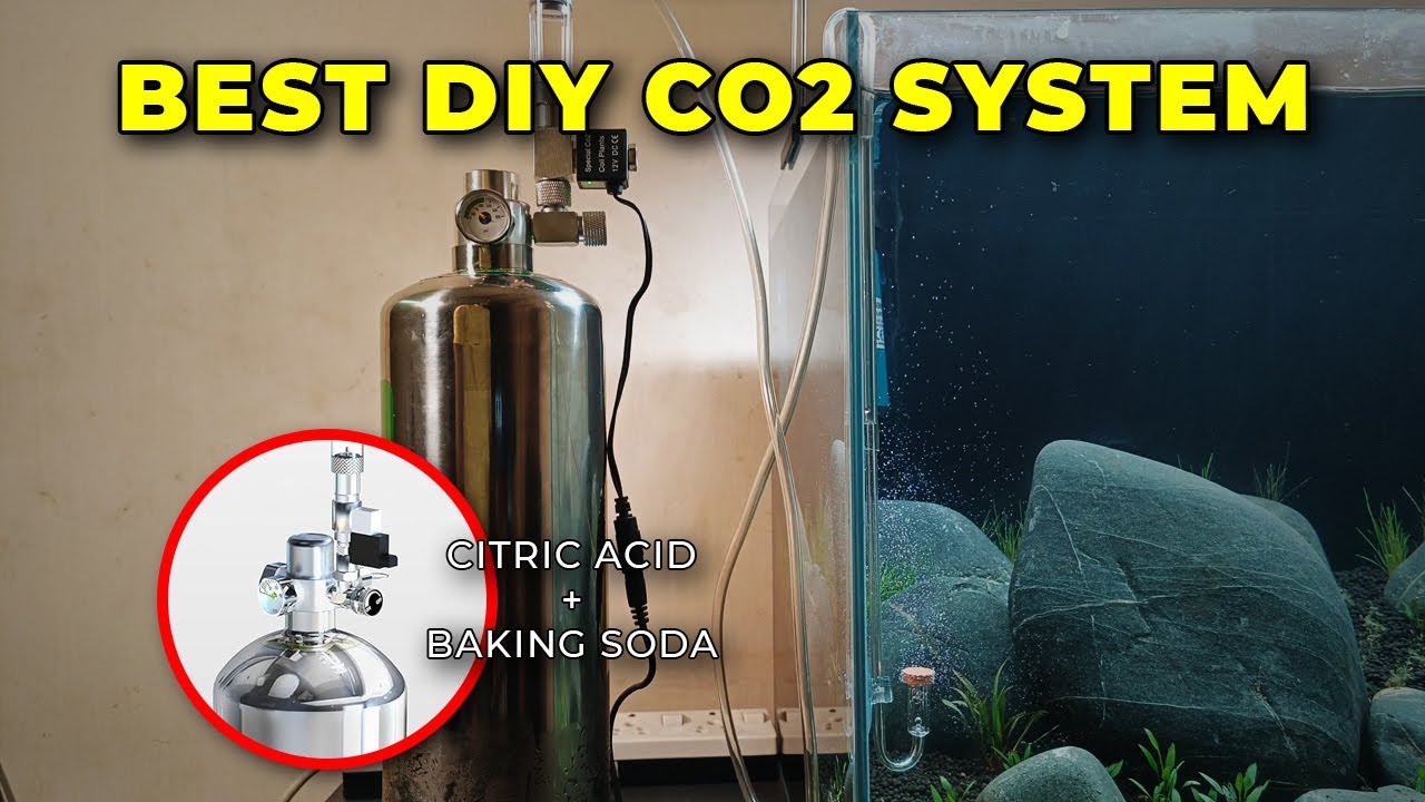 Best DIY CO2 Generator Kit for Baking Soda + Citric Acid Method 