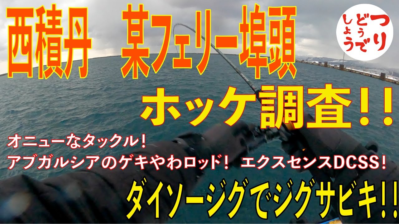 西積丹某フェリー埠頭　ホッケ調査　サクラマスシーズン　北海道積丹方面の釣り