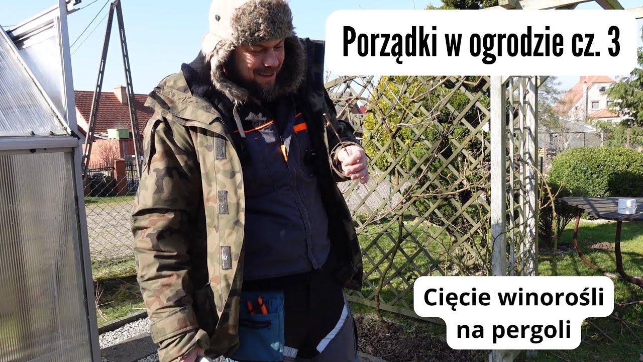 Porządki w ogrodzie cz. 3 - Cięcie winorośli na pergoli