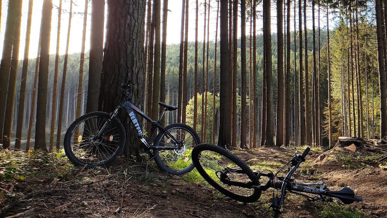 FOREST DOWNHILL 2 | Trialboy 2022