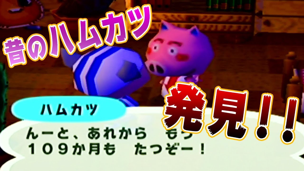 【奇跡】中古で買ったどうぶつの森にクソ豚居たわwwww【どうぶつの森e+】