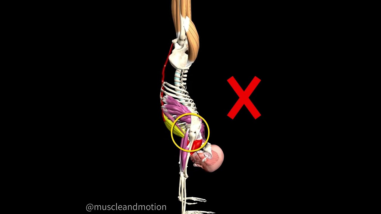 HANDSTAND COMMON PROBLEMS 📣