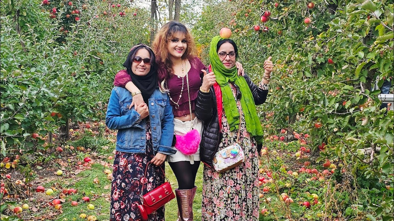 Pick Apples 🍎 from Downey's farm 🚜 / Canada's Best Farm 