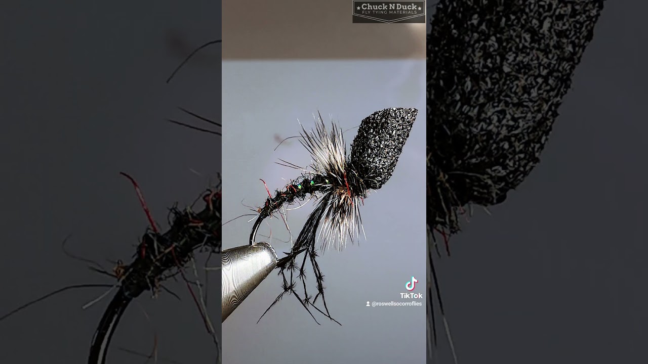 Black popper hopper #dryfly #flyfishinglife #dryflytying #fishing