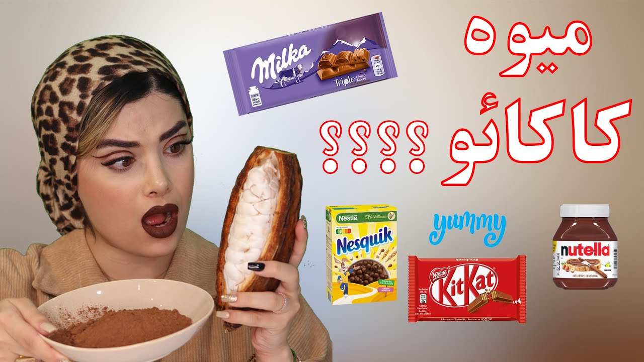 تست و فرآوری عجیب میوه کاکائو
