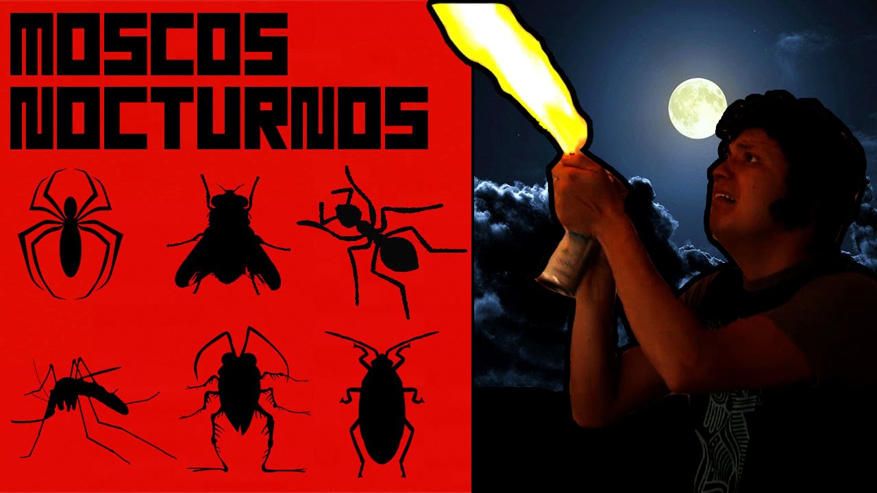 Animales no Deseados - Luisito Rey