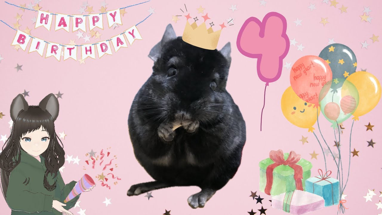 ありまの可愛いアイドルここちゃんお誕生日です！【９月５日】
