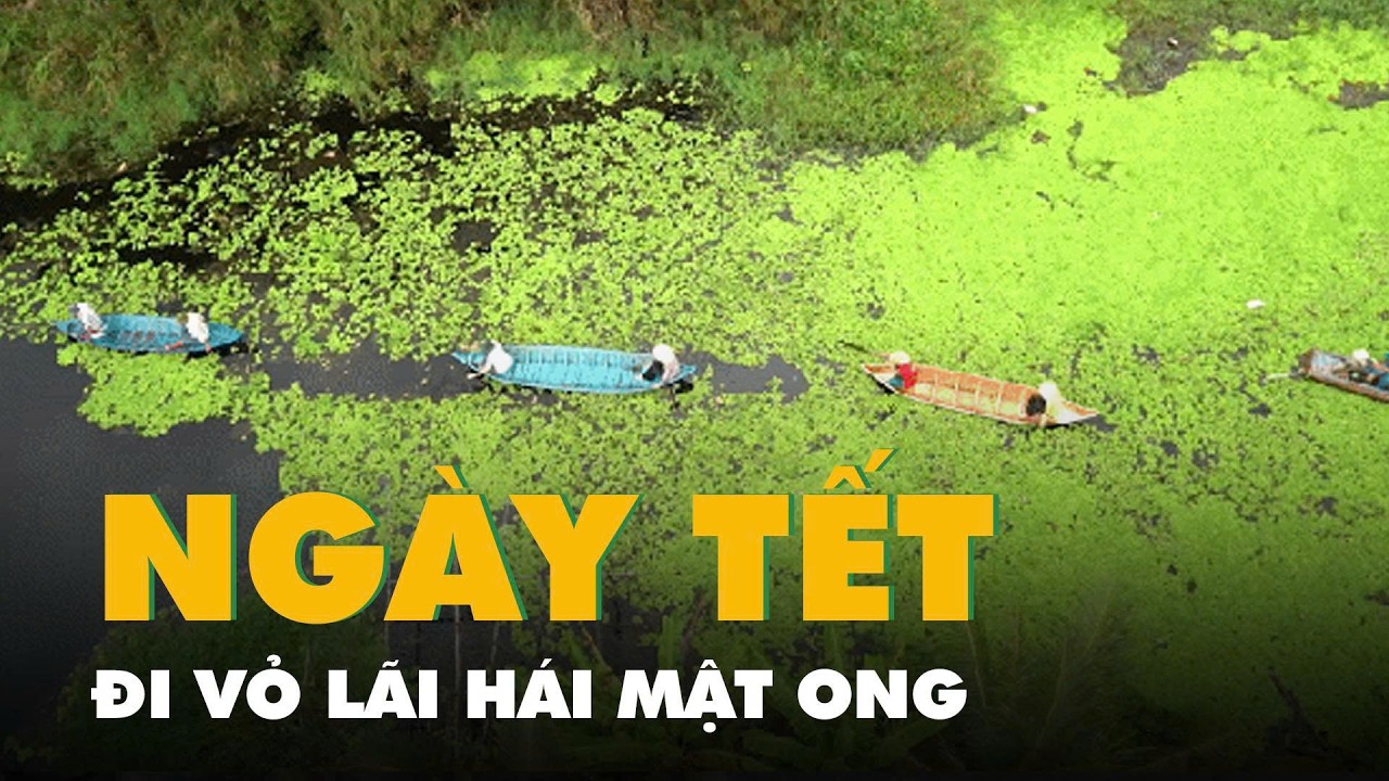 Ngày Tết đi vỏ lãi hái mật ong, bắt cá nướng giữa đất rừng phương Nam
