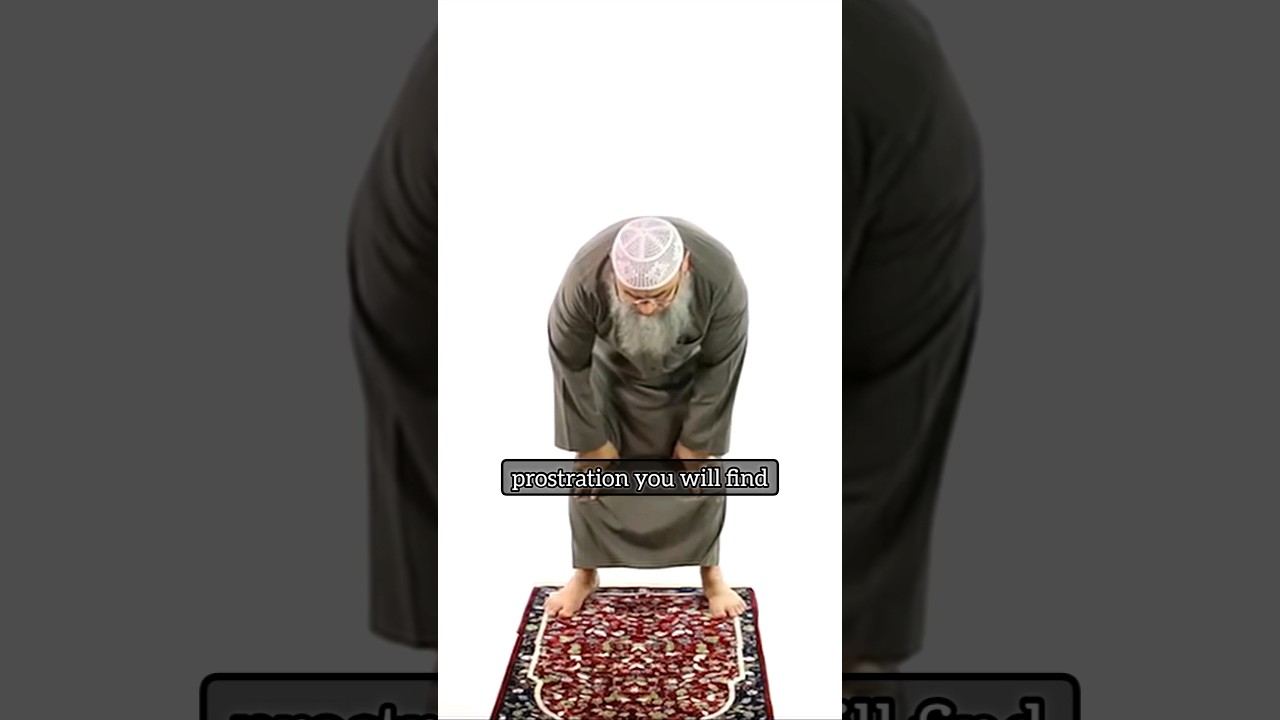 Where to look when in ruku? The Prophet's Prayer ﷺ&lrm; | explained by Assim Al Hakeem #learnsalah