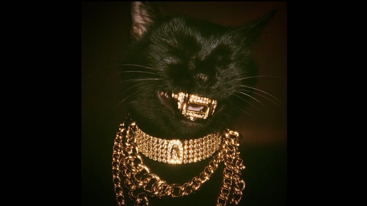 [FREE] Nemzzz x Dark Sample Hoodtrap Type Beat 
