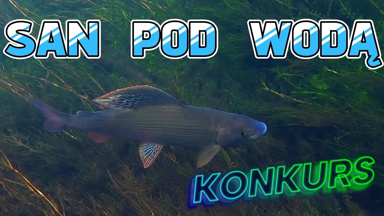 San pod wodą || ujęcia podwodne || konkurs || OS San #traper