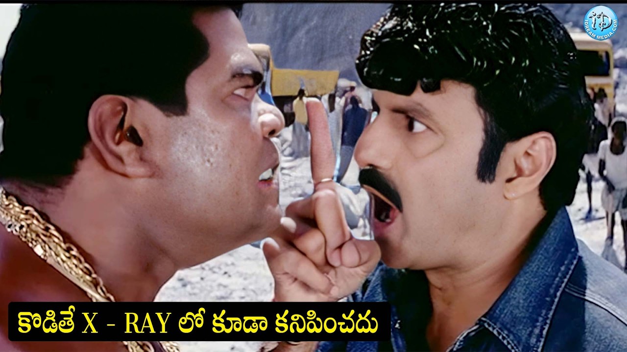 కొడితే  X - RAY లో కూడా కనిపించదు.. | BalaKrishna Mass Warning Scene | iDream Samacharam