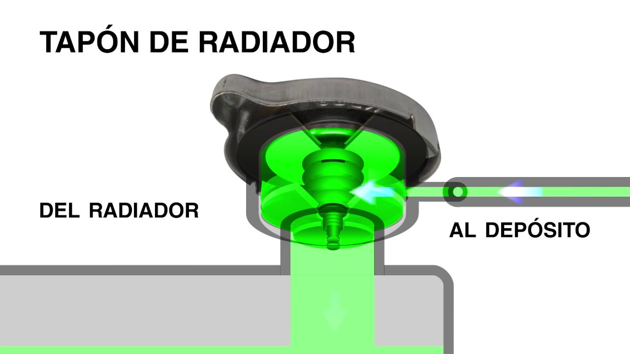 Funci&oacute;n del tap&oacute;n de radiador (Animaci&oacute;n 2D)