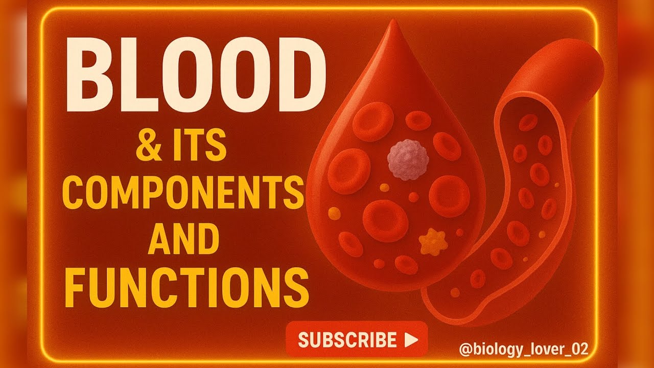 🔴 Blood and Its Components | Most vital fluids in our body — BLOOD! 🩸