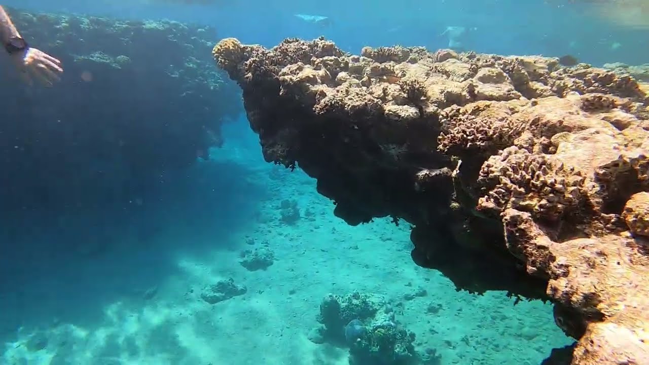 Snurkowanie Sharm El Sheikh | Rafa Koralowa przy Hilton DoubleTree | Morze Czerwone