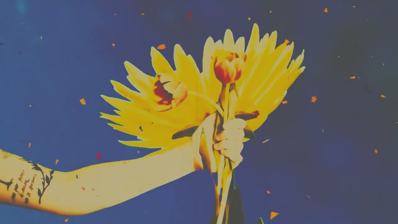 Phantom Handshakes - The Flowery Man (Official Video)