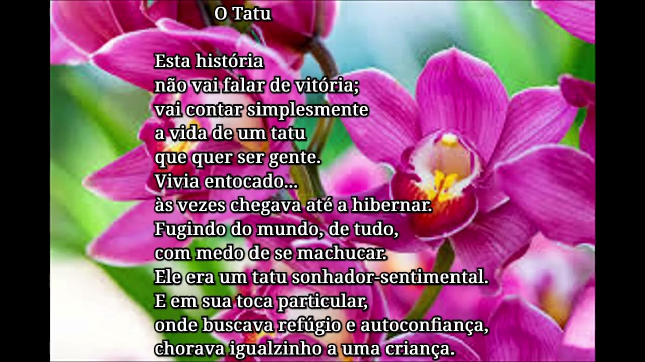 Minhas Poesias 2