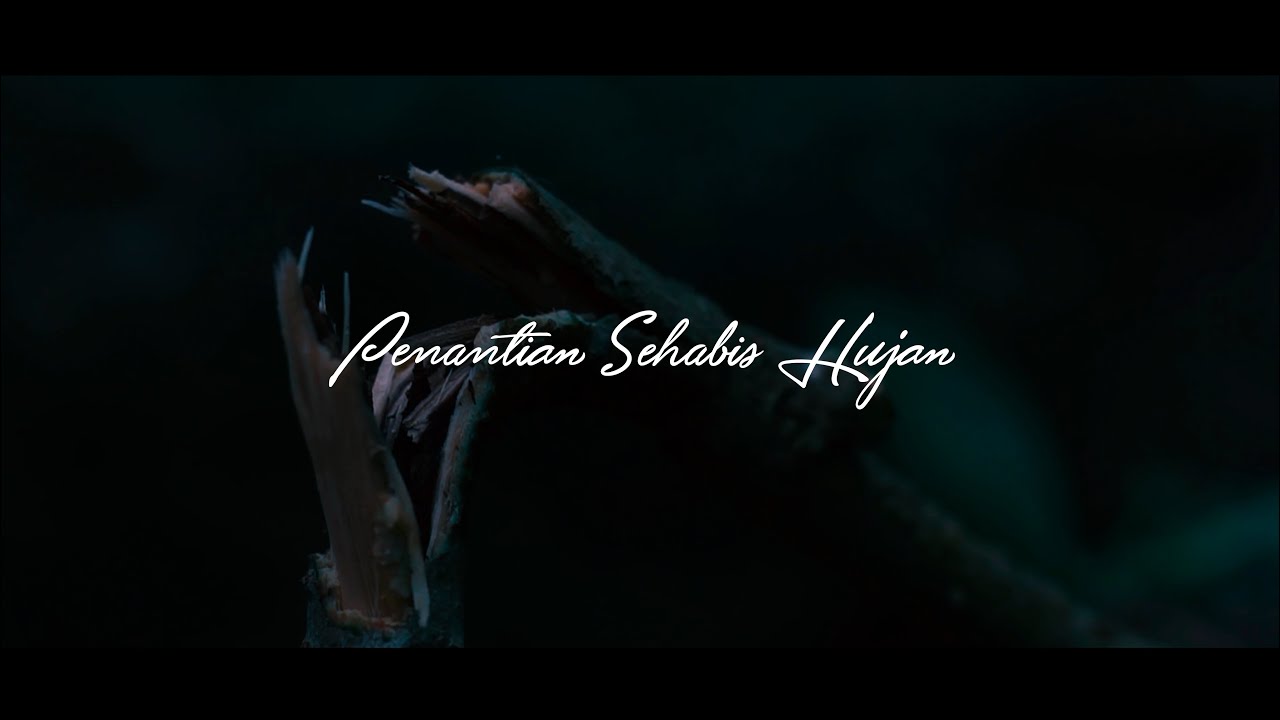 Roni Ramadhan - Penantian Sehabis Hujan (Official Music Video)