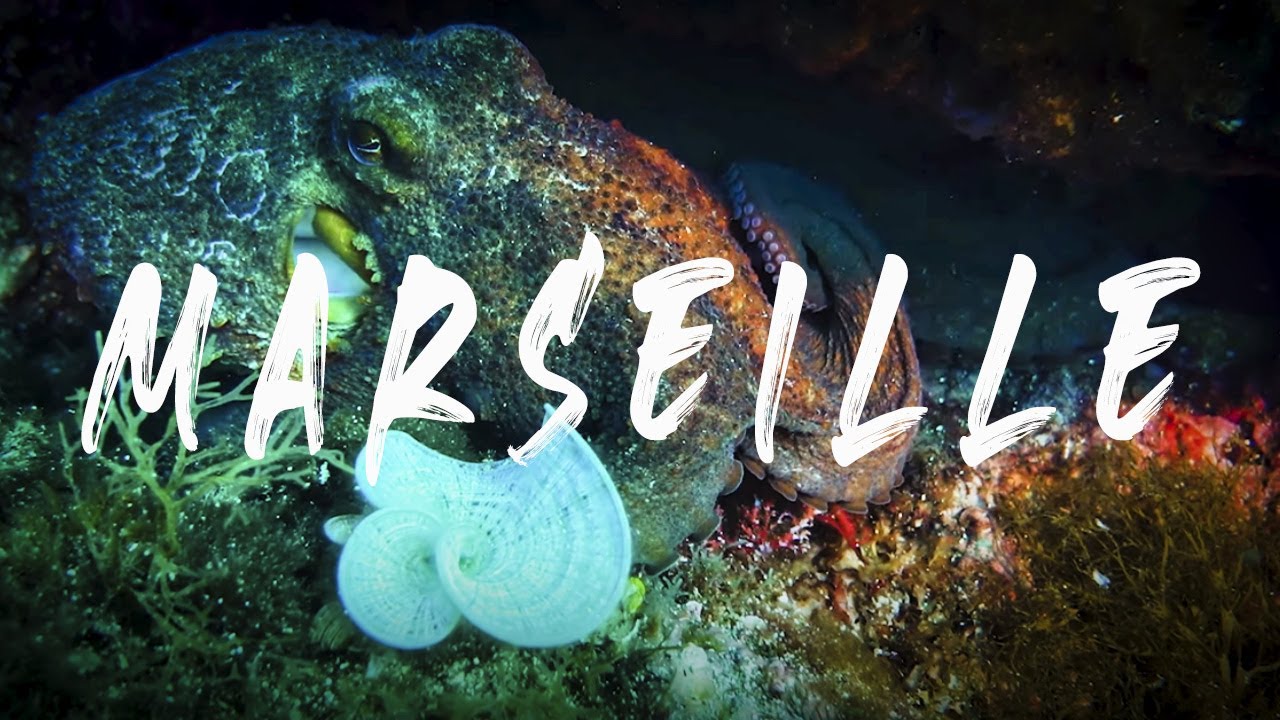 Marseille diving pt.2