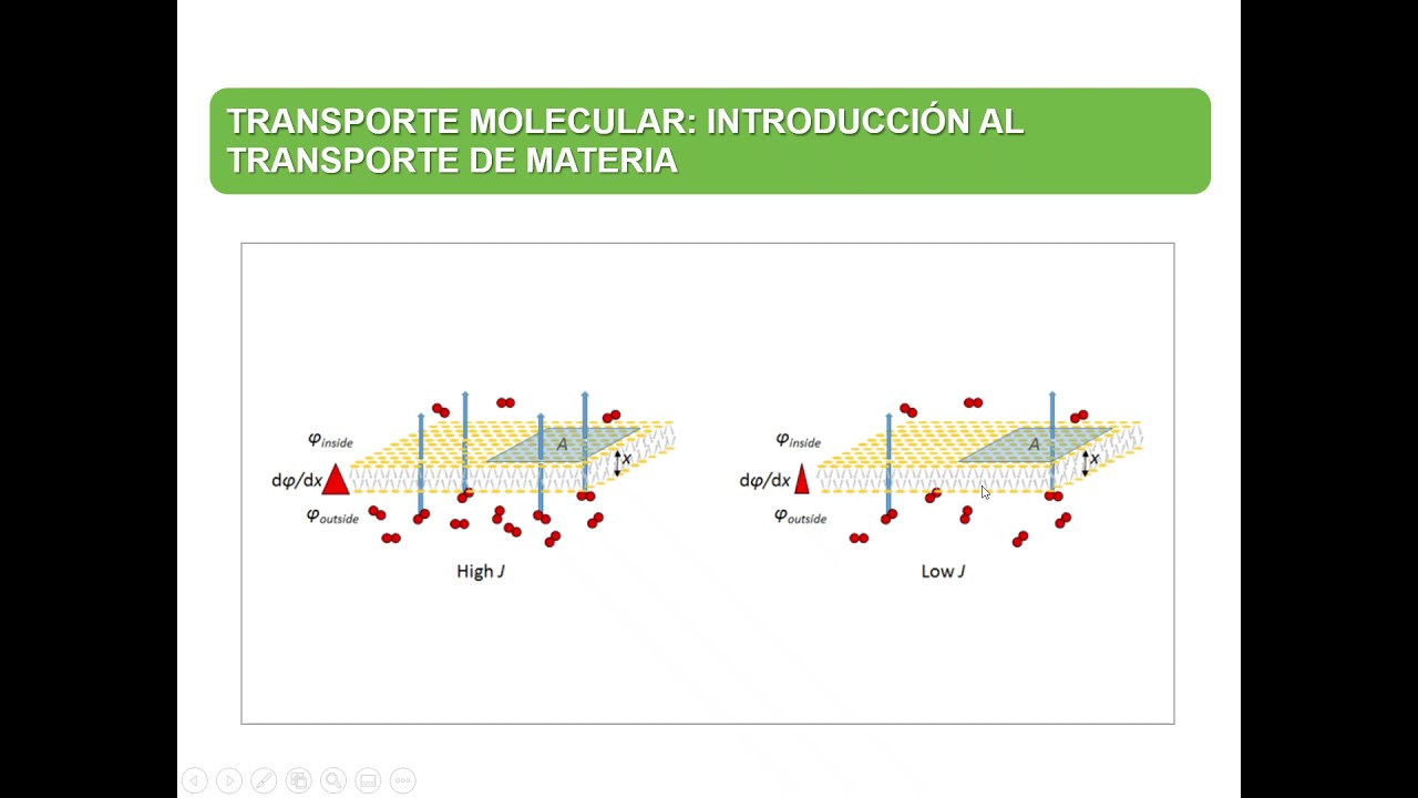 Transporte Molecular: Ley de Fick de la difusión binaria