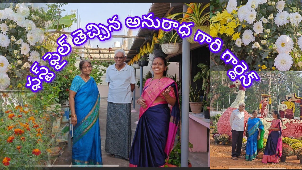 యానం ఫ్లవర్ షోలో మొదటి బహుమతి వచ్చిన అనురాధ గారి గార్డెన్ 🌹మొదటి భాగం  