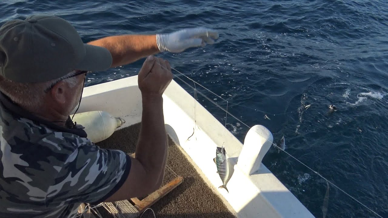 Doğada Özgürsün 3. Bölüm / Karadeniz Palamut Avı