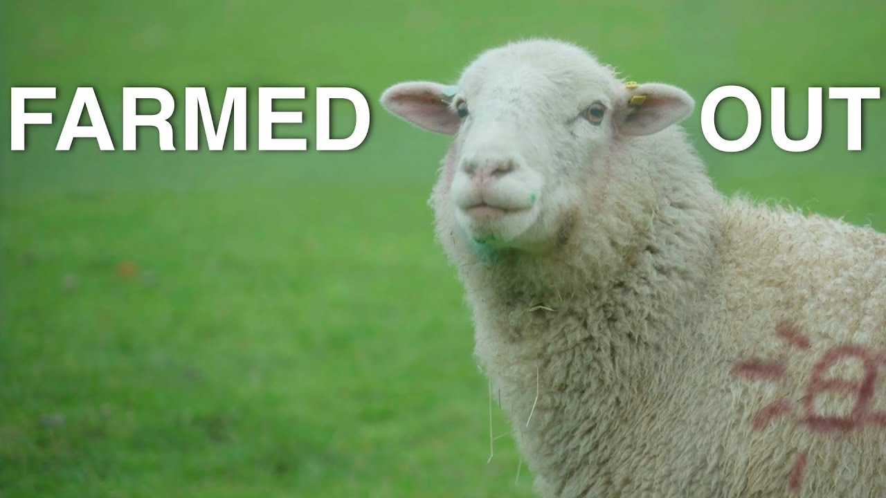 M62 Presents: Farmed Out (2023) | Short Comedy Film
