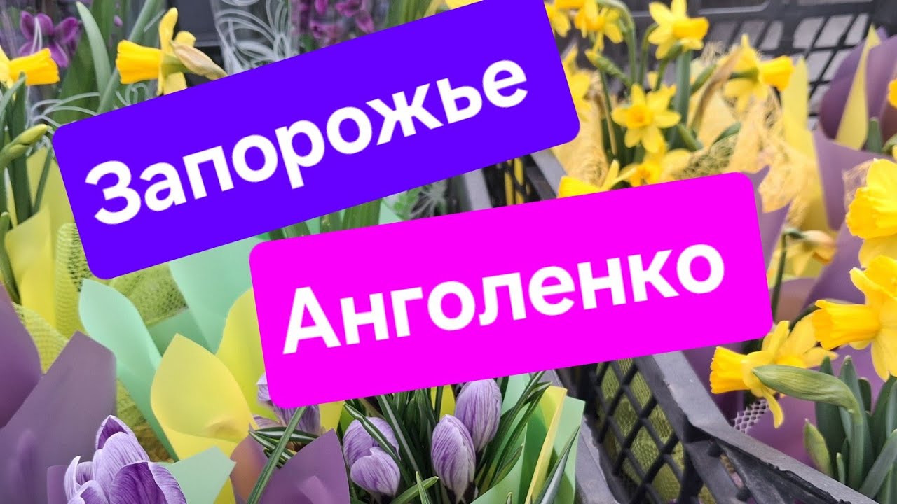 07.03.26 Обзор цветочного рынка, Запорожье Анголенко 