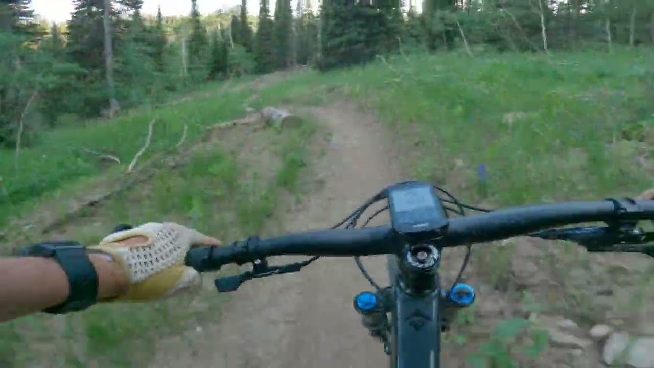 Jolly Green Giants at Targhee with Wayne