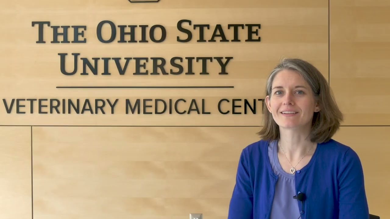Natalie Theus, DVM '05: Veterinary Dermatologist