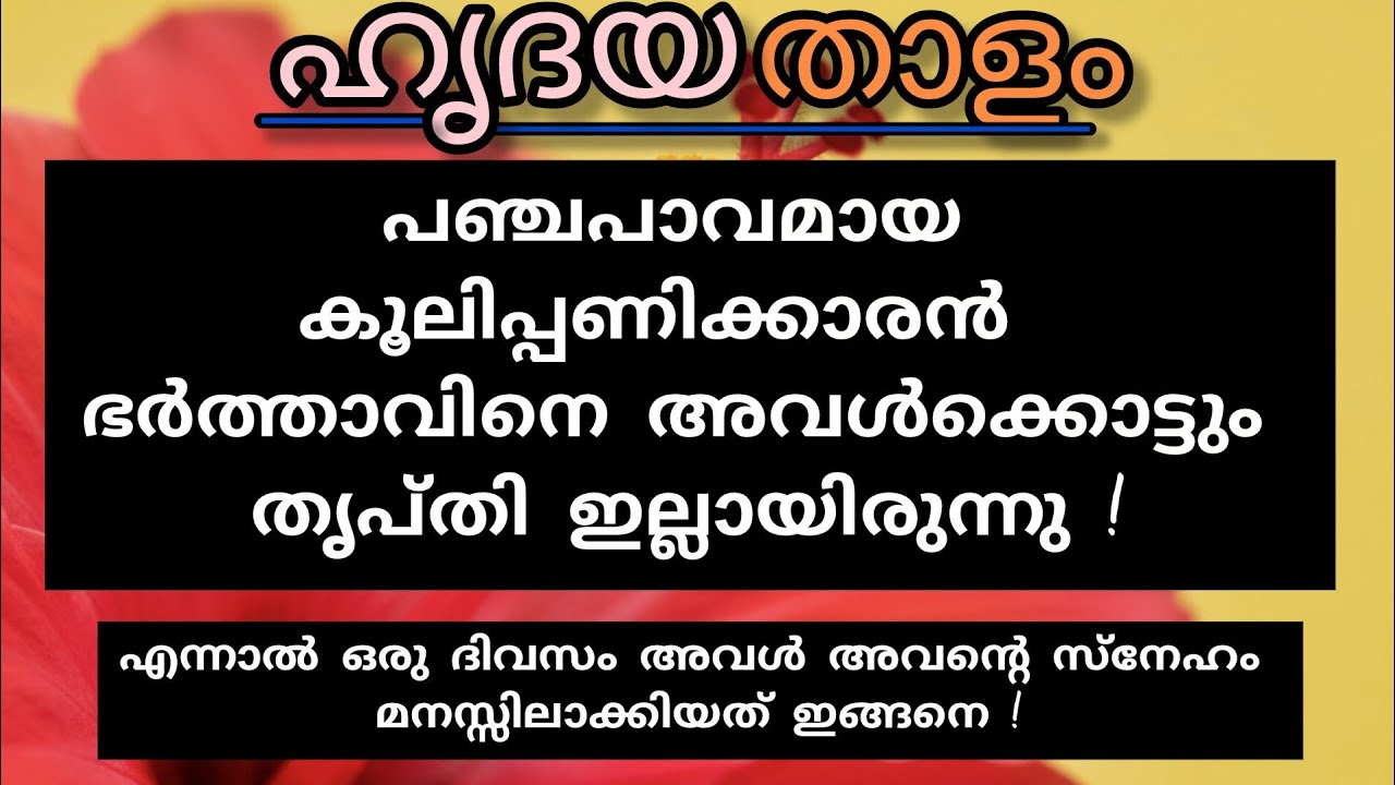 അവളുടെ എന്ത് ആഗ്രഹവും ജിത്തു നടത്തി കൊടുക്കാമായിരുന്നു !