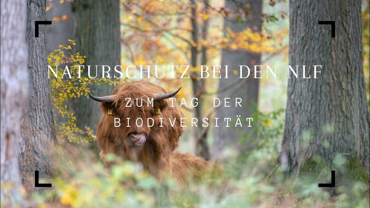 Naturschutz bei den Landesforsten