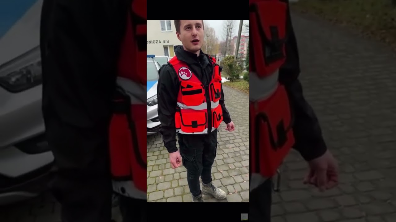 Policja i DIOZ zabiera psa Sonie Danielowi Magicalowi. CALA AKCJA. #danielmagical #polskarodzinka