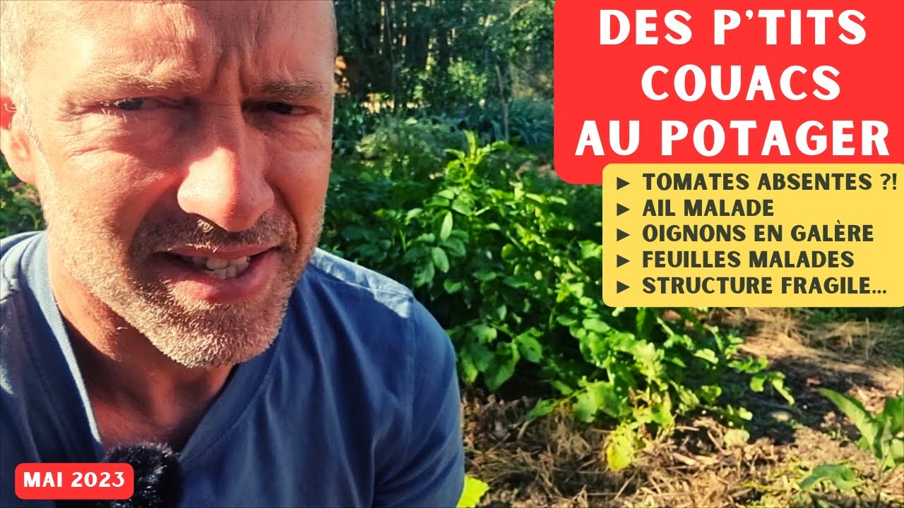 Quelques (petites) galères au potager - On en discute